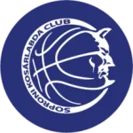 Home Team Logo