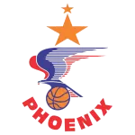 Home Team Logo
